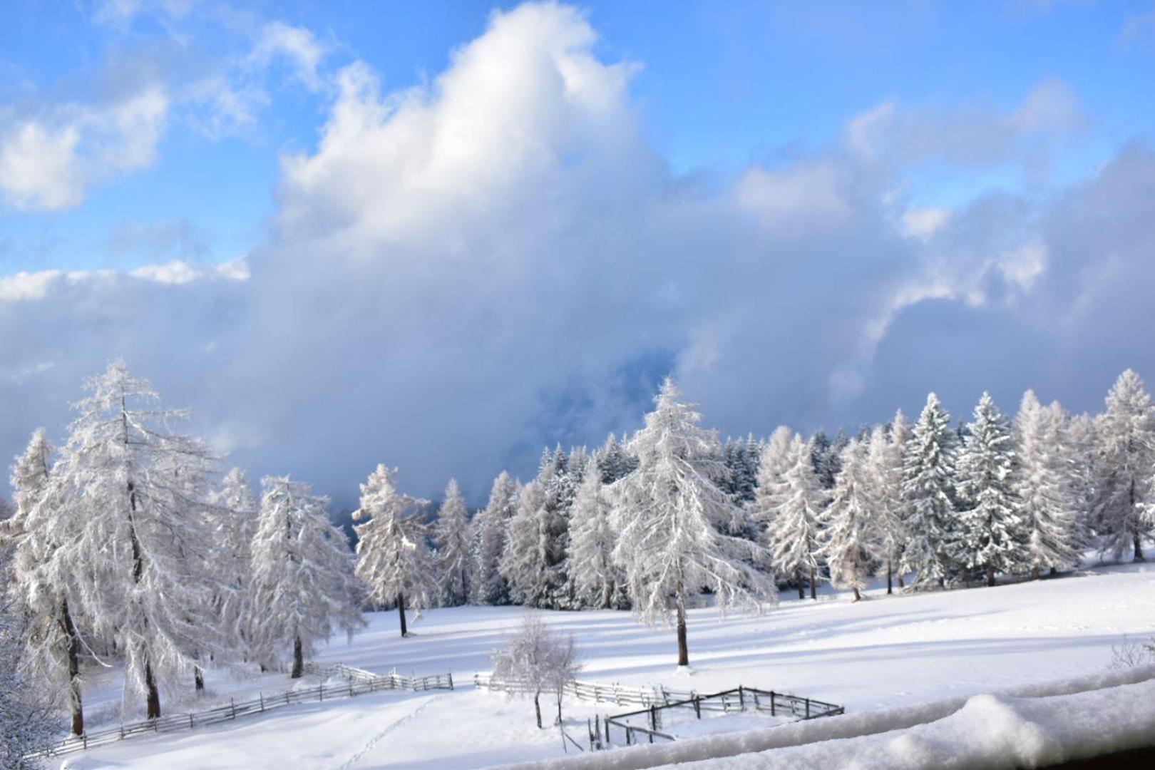 Gasthof Schmiederalm Aldino Buitenkant foto